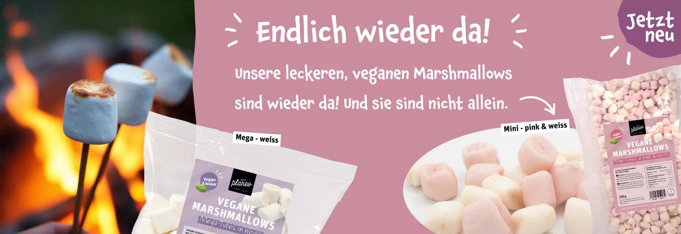 Veganer Genuss zum fairen Preis